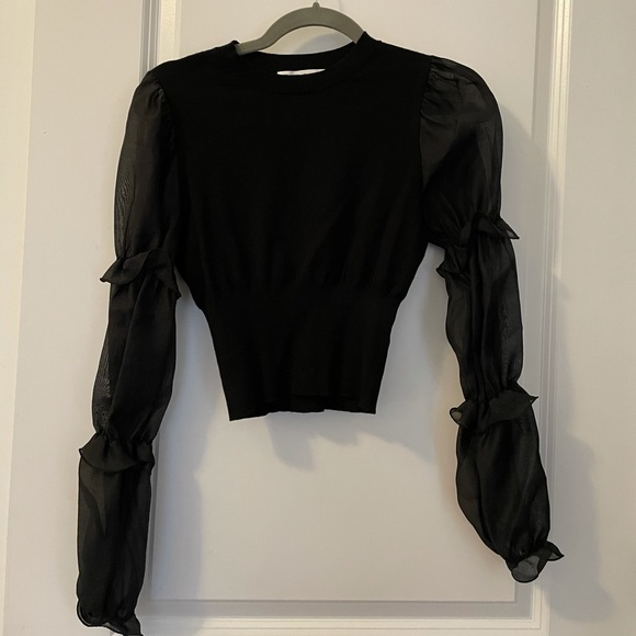 Black Puffy Long Sleeve Blouse - Picture 1 of 2